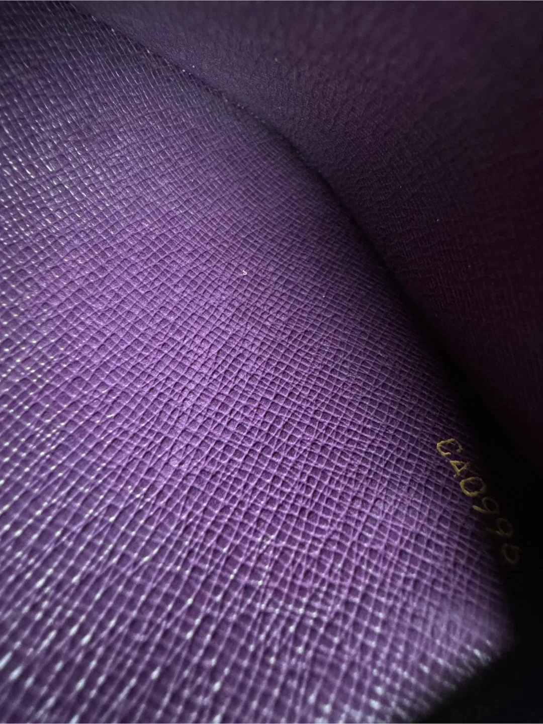 Louis Vuitton Tassil Yellow Epi Leather Sarah Wallet image indicator(8)