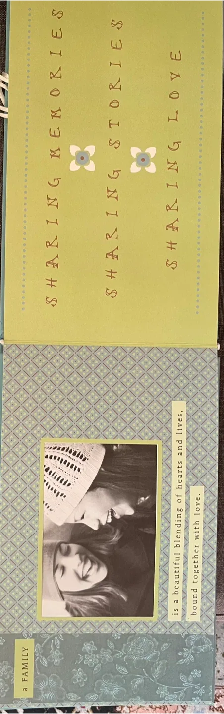 Family Photo Album image indicator(6)