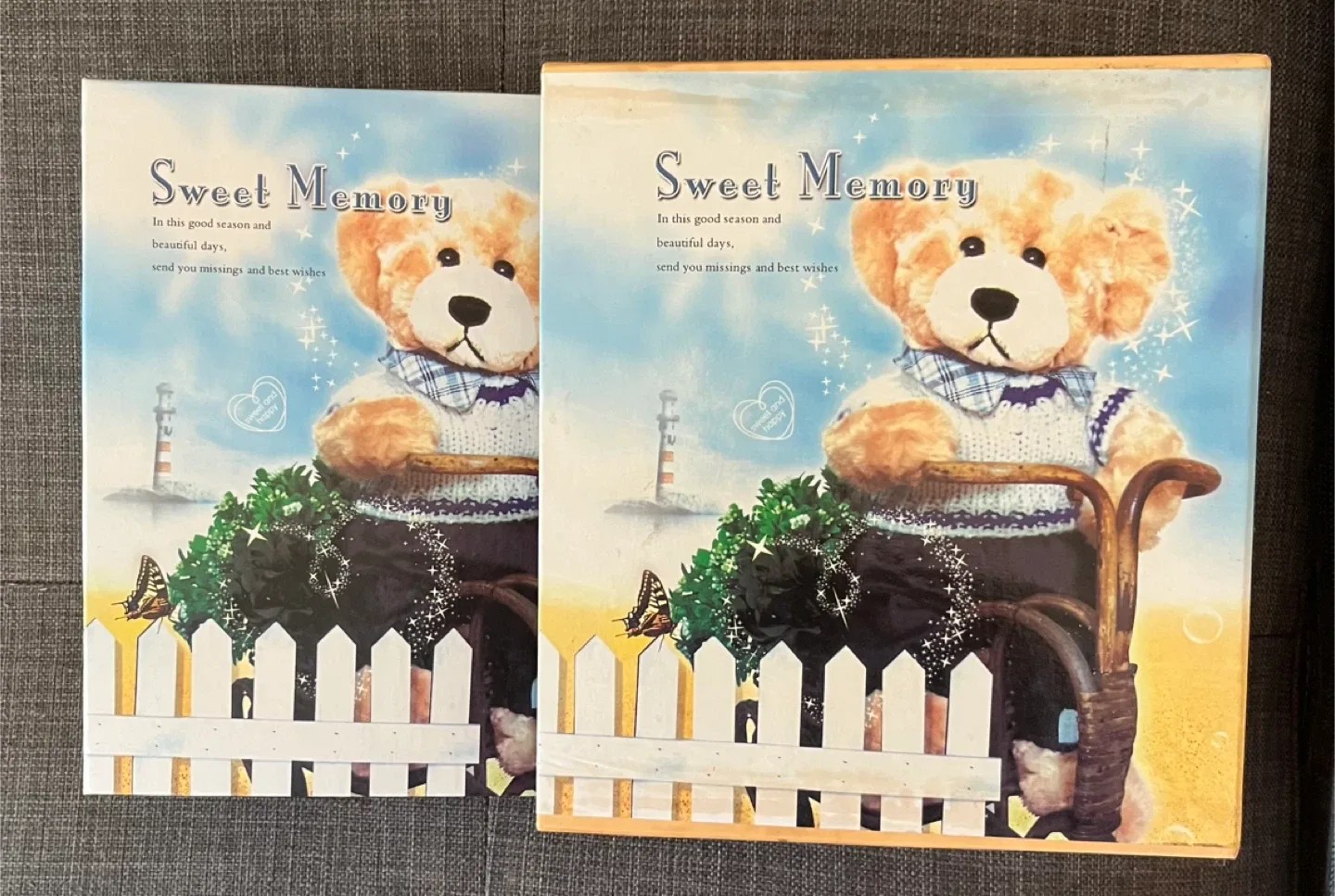 Photo Album image indicator(2)