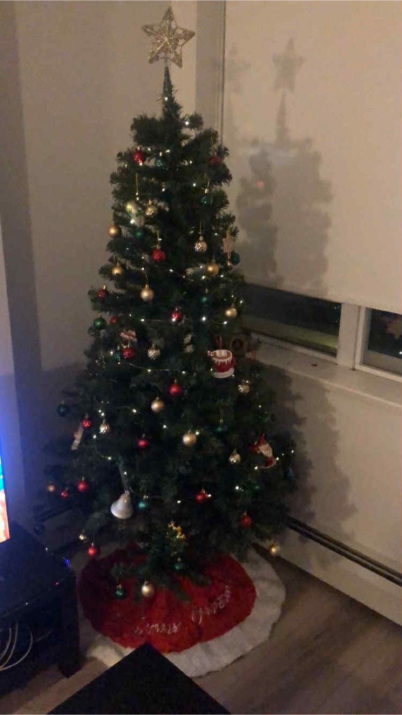 Christmas tree/ Decorations