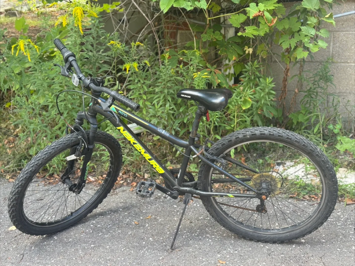 Nakamura Rovi 24" Bike image indicator(4)