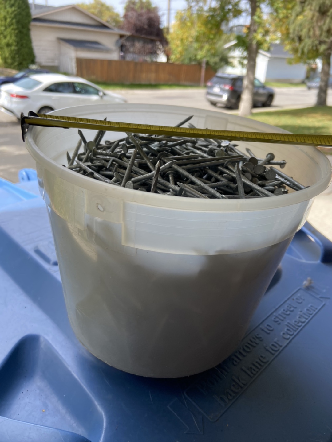 Bucket of Nails