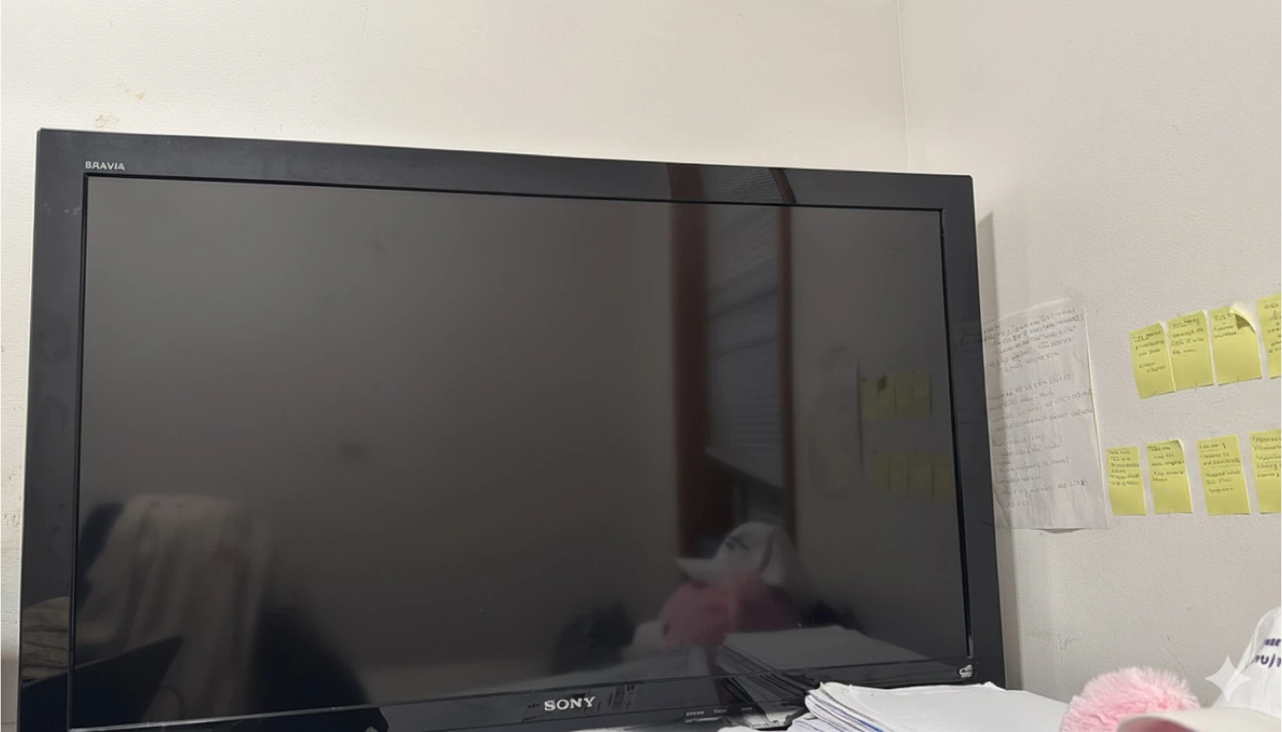 BRAVIA Sony TV