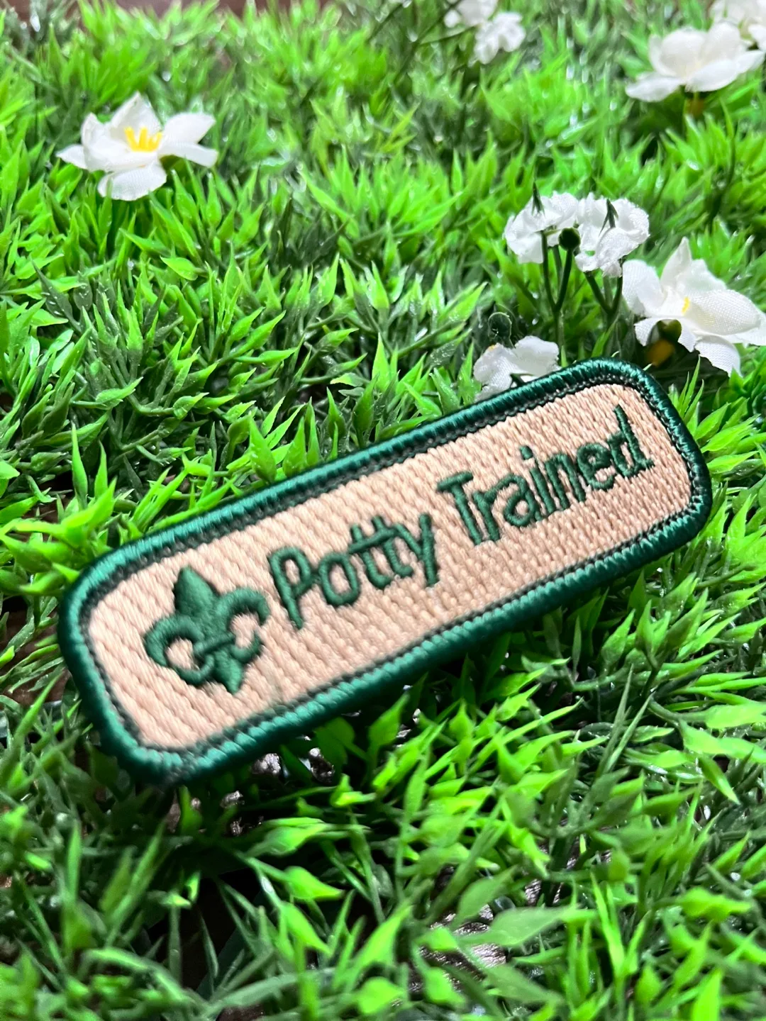 New Potty Trained Patch thumbnail