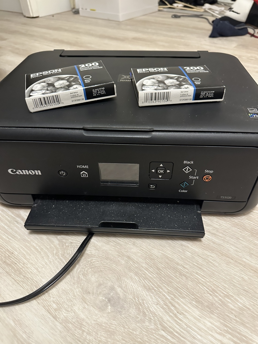 Canon TS5120 Printer with Epson Ink