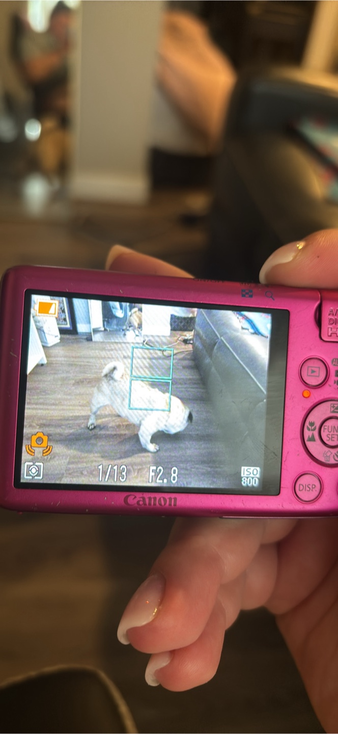 Canon PowerShot SD1400 IS Digital ELPH Pink - photo 5
