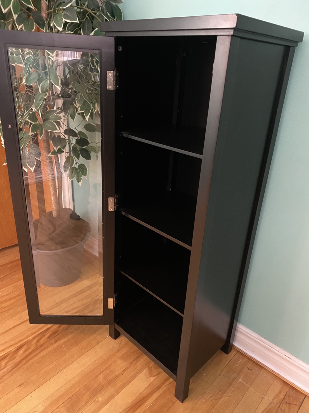 FREE DELIVERY: Cabinet with Glass Door $80 (HRM) - photo 2