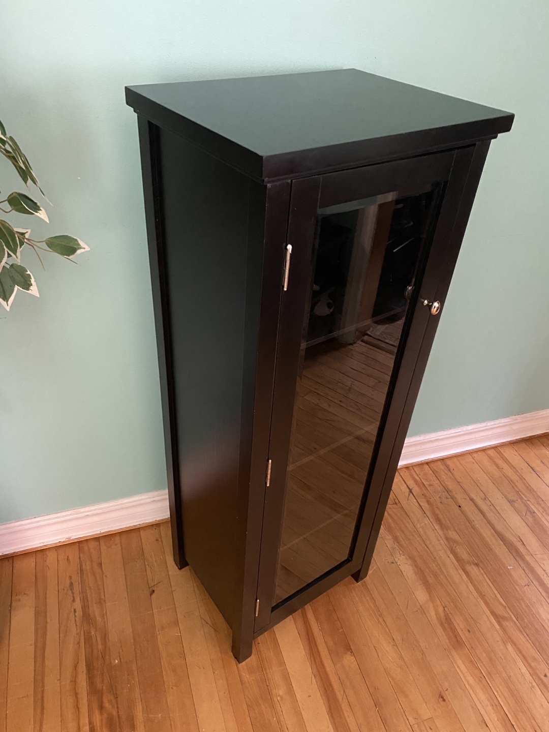 FREE DELIVERY: Cabinet with Glass Door $80 (HRM) - photo 5