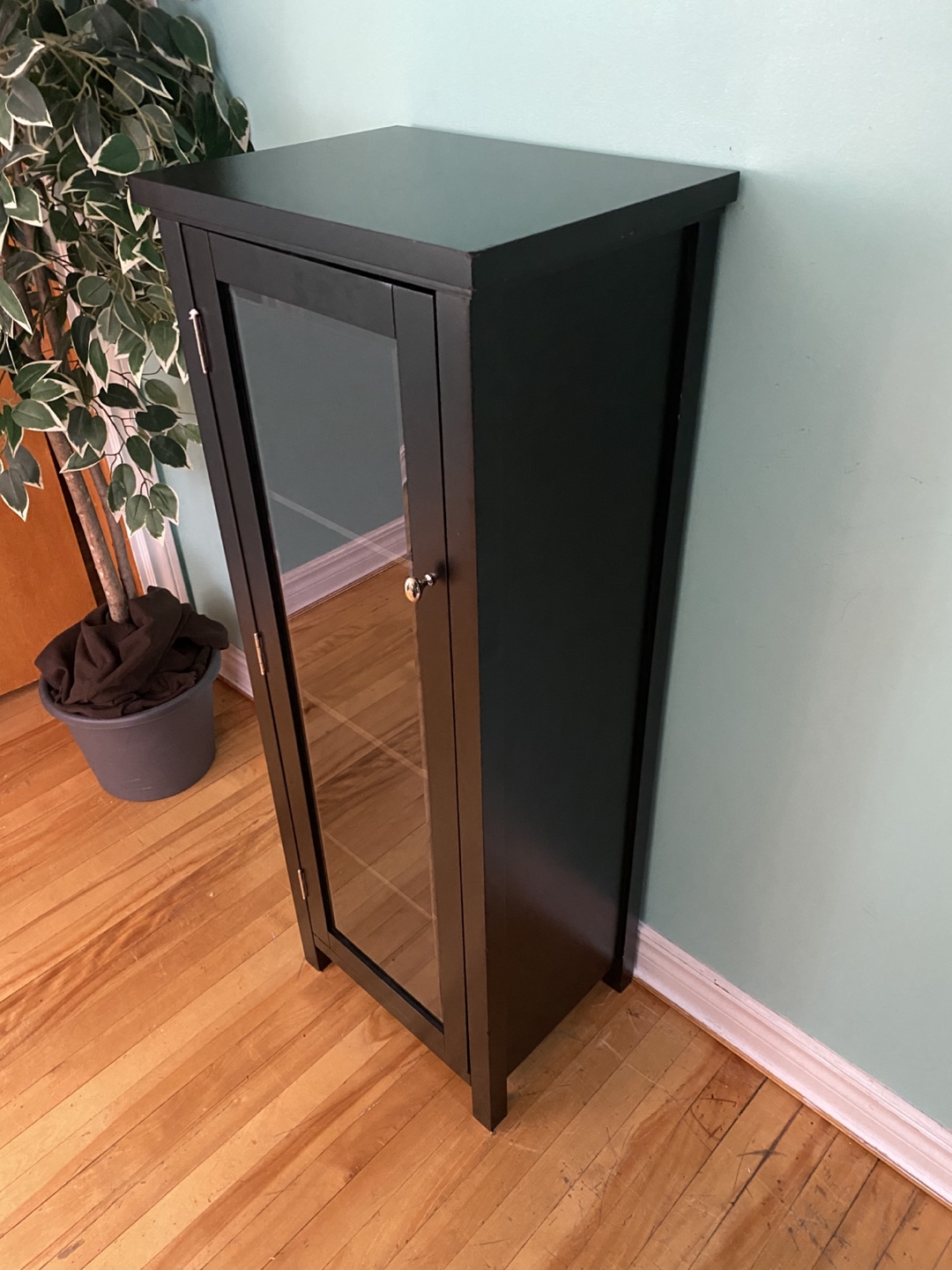 FREE DELIVERY: Cabinet with Glass Door $80 (HRM) - photo 4