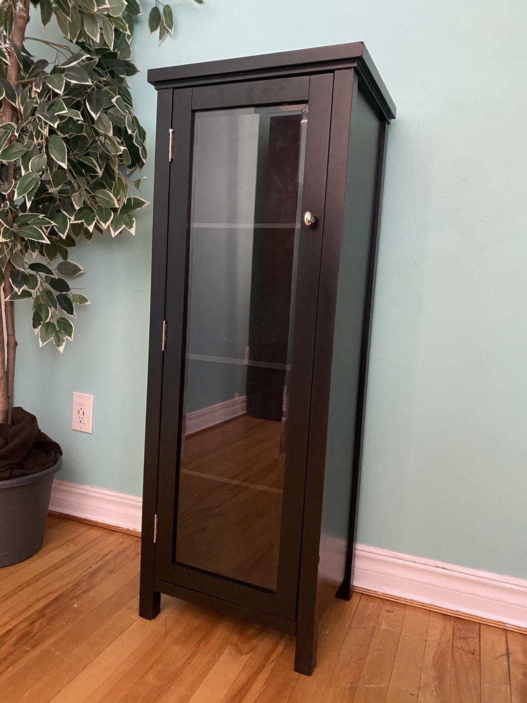 FREE DELIVERY: Cabinet with Glass Door $80 (HRM) - photo 3