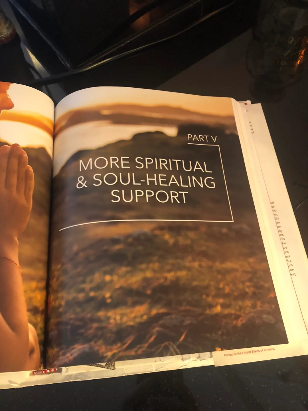 Medical Medium Cleanse to Heal Book image indicator(4)