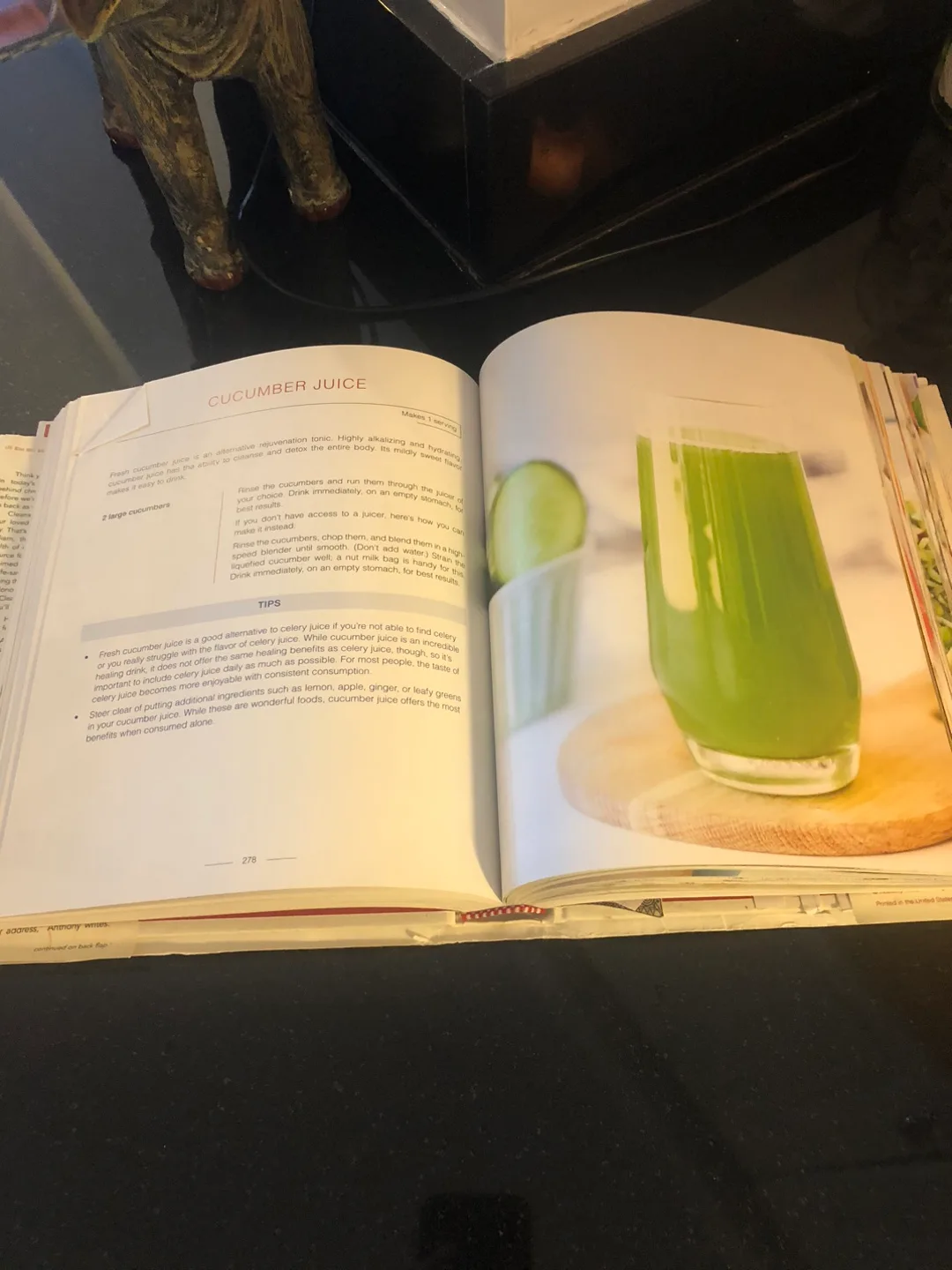 Medical Medium Cleanse to Heal Book image indicator(2)
