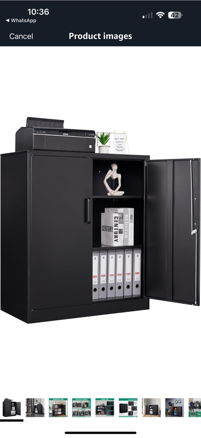 Black Metal Storage Cabinet