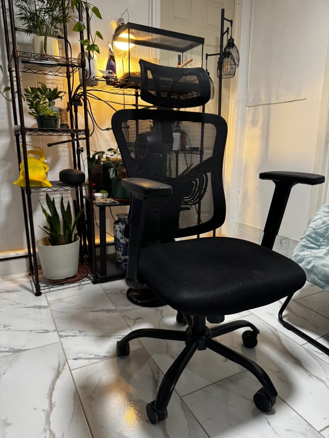 2 Office Chairs