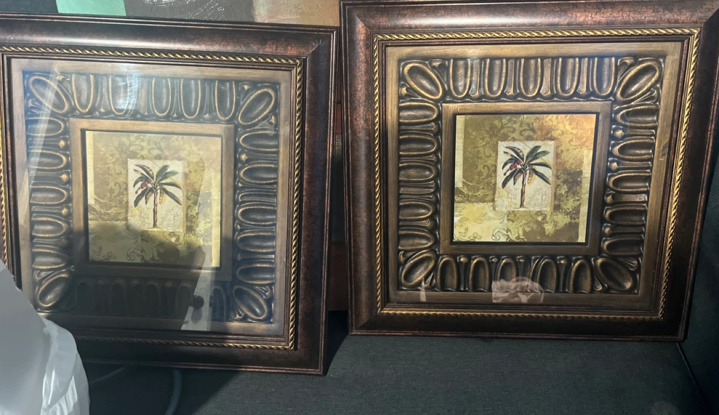 Set of 2 Framed Palm Tree Prints