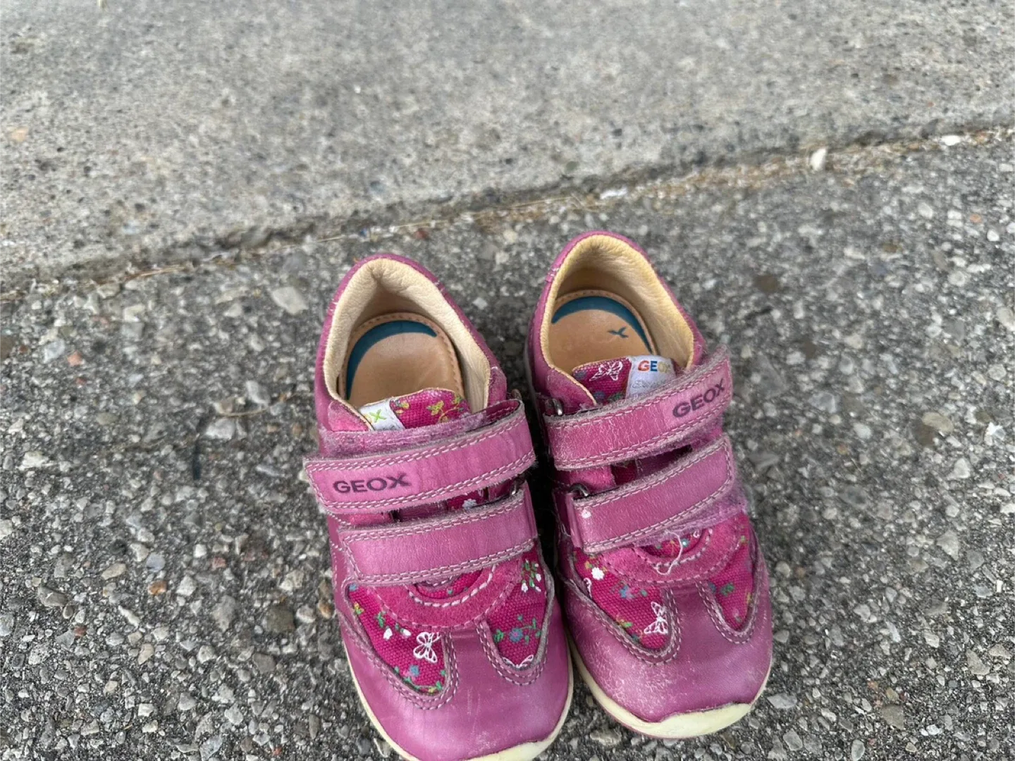 Take all 14 pairs! Air Jordan’s, Geox , New Balance Kids Shoes image indicator(9)