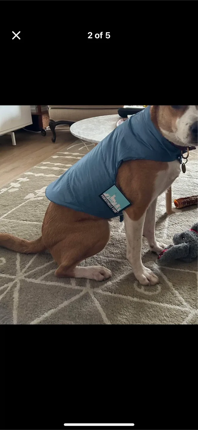 Pawsitively Fun! Pet Jacket - Size L image indicator(2)