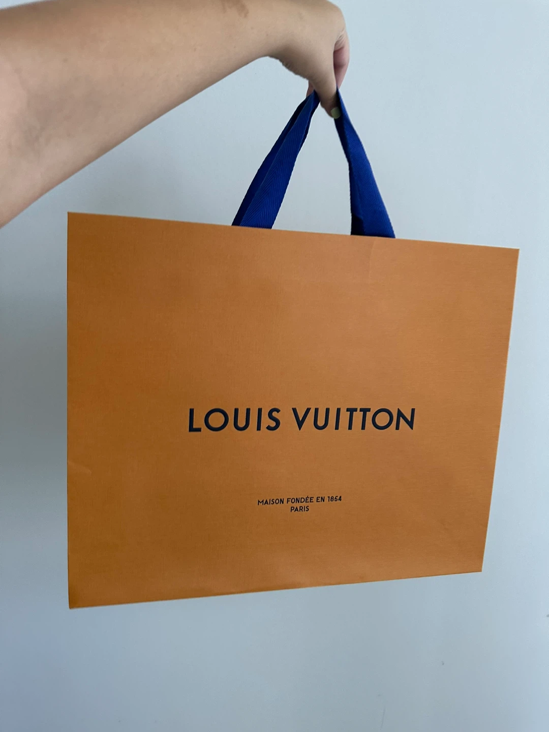 1 Louis Vuitton Shopping Bag