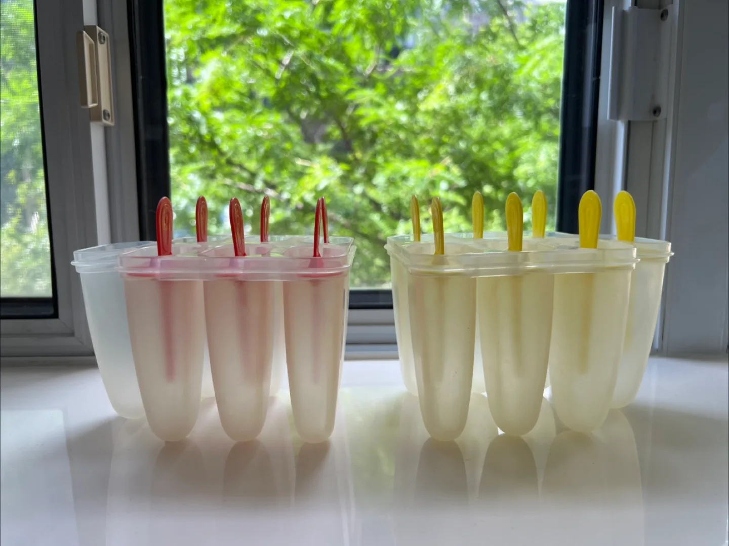Popsicle Molds - Set of 2 *Free* thumbnail