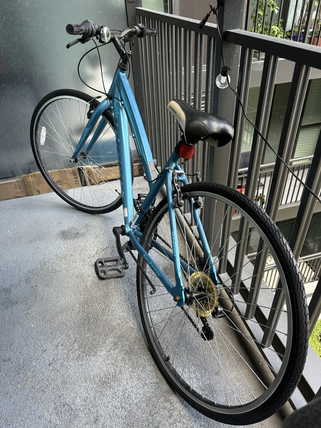 SpinalZone Comfort Bike - Teal - photo 2
