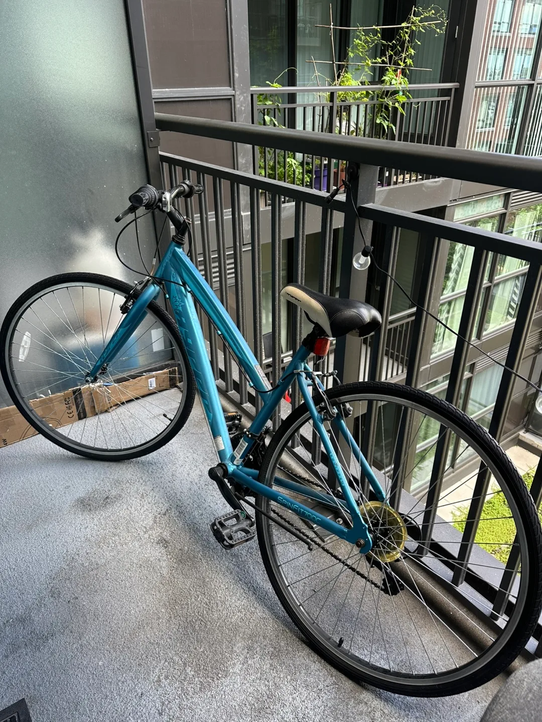 SpinalZone Comfort Bike - Teal