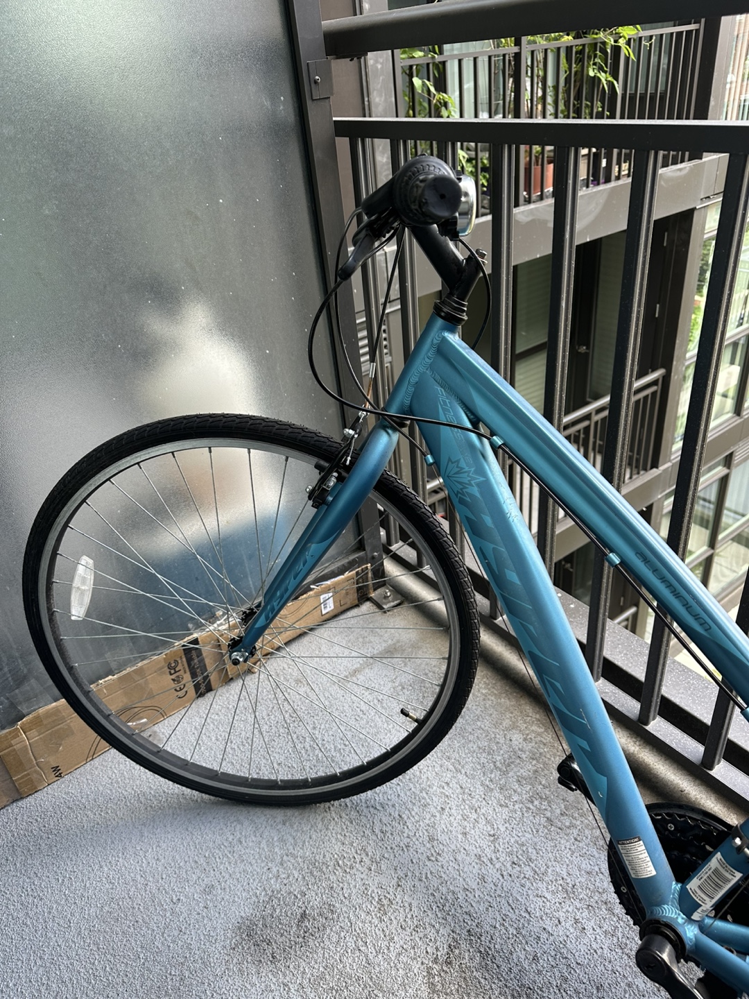 SpinalZone Comfort Bike - Teal - photo 5
