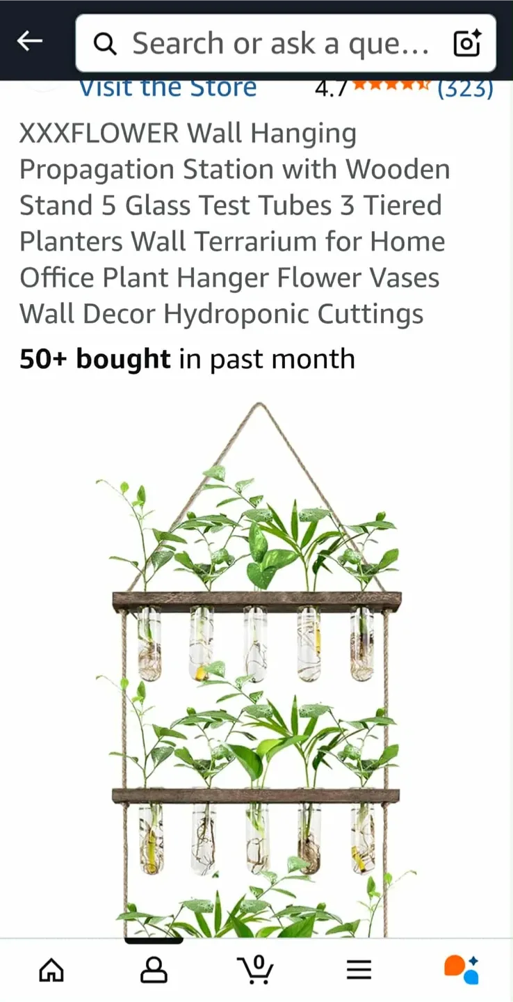 New XXXFLOWER Wall Hanging Propagation Station image indicator(4)