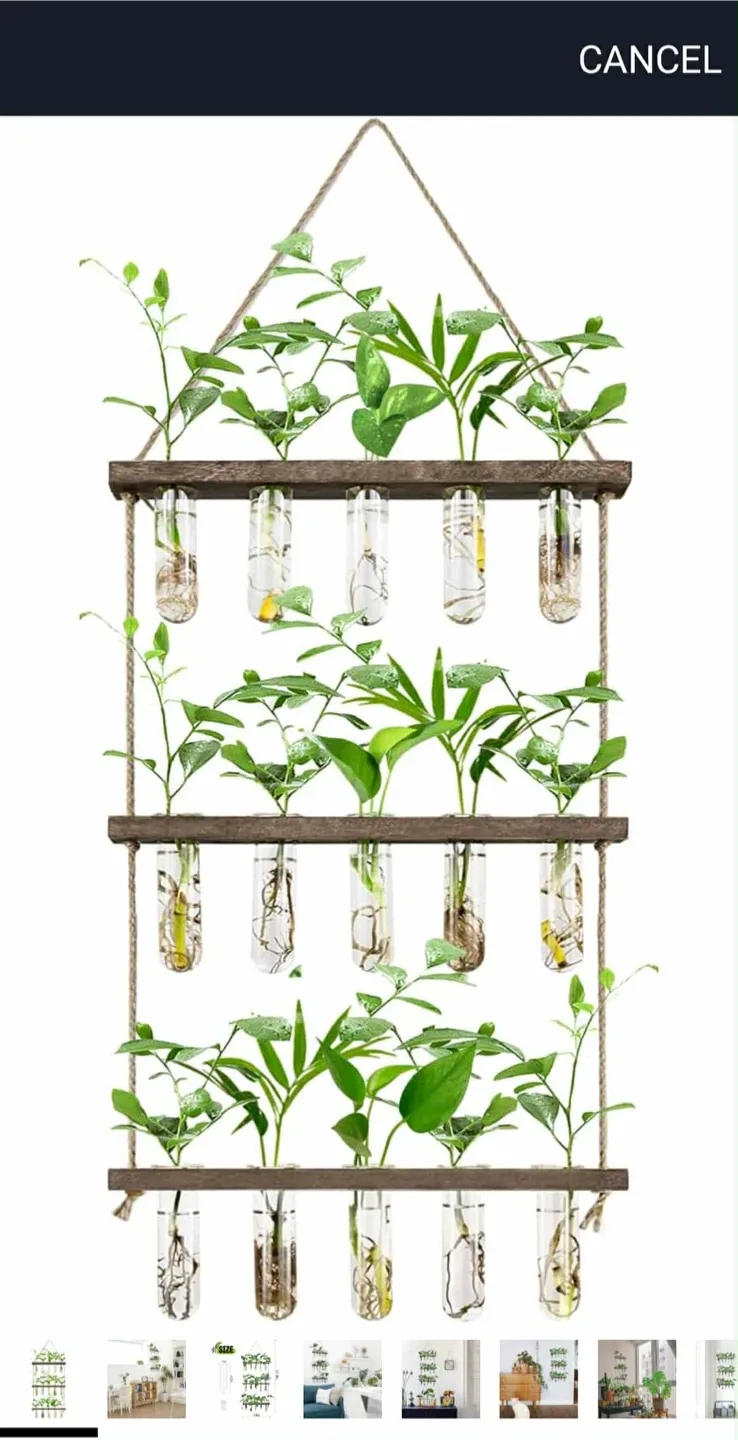 New XXXFLOWER Wall Hanging Propagation Station image indicator(2)