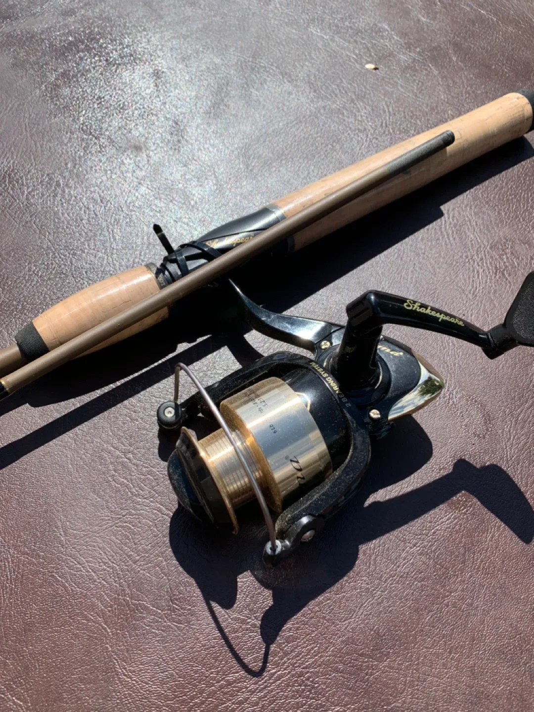 Shakespeare Sigma Spinning Combo image indicator(2)