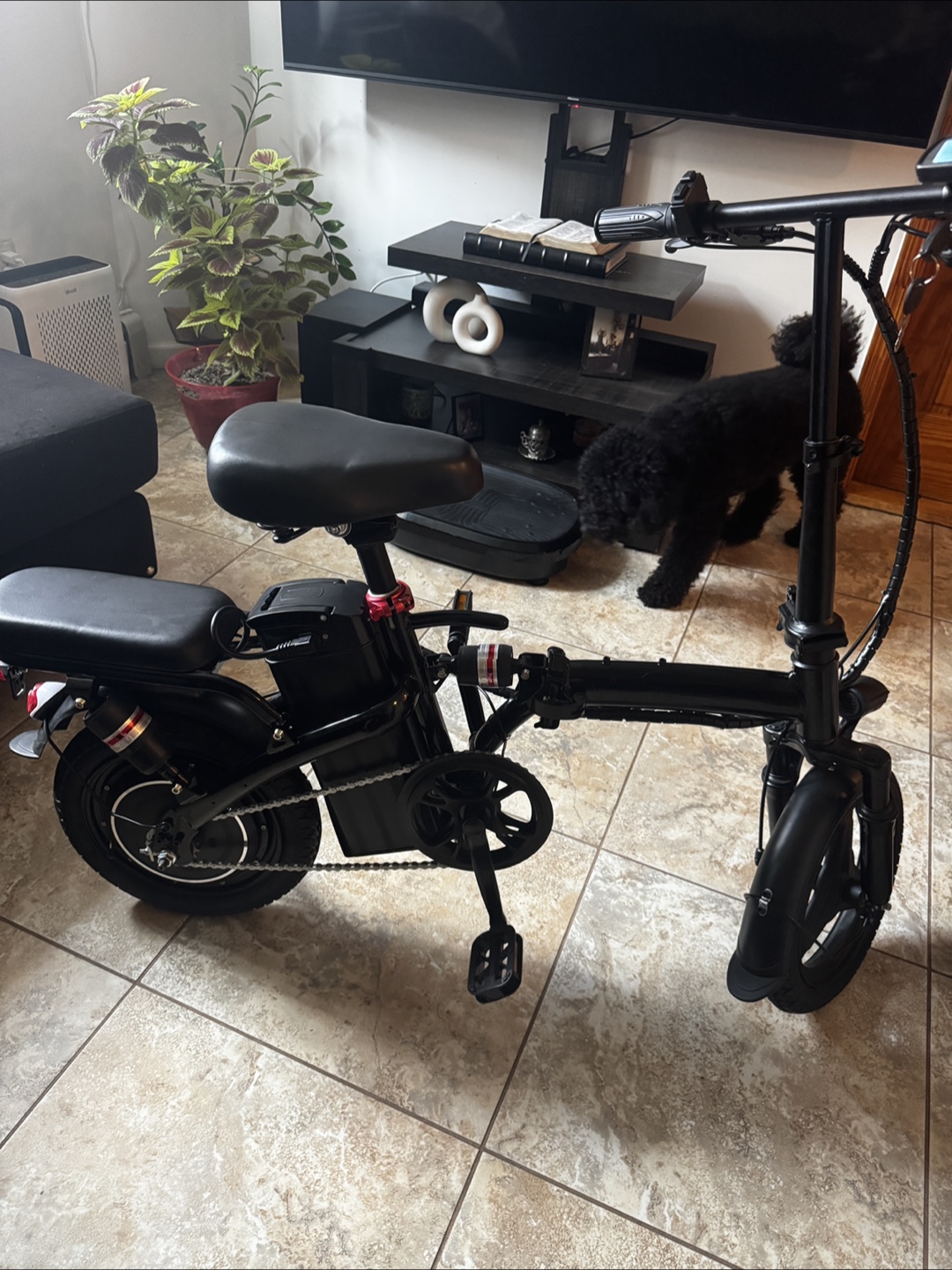 Black Electric Folding Bike