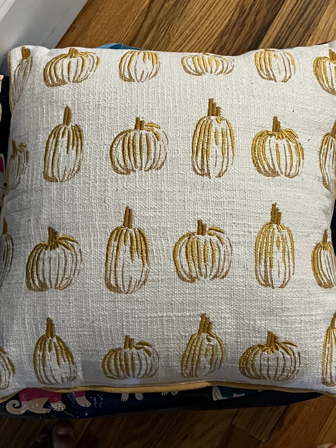 Pumpkin Throw Pillow