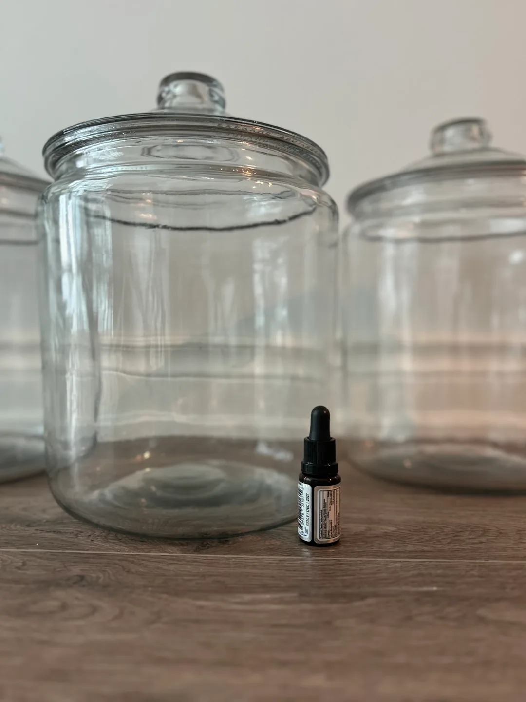 2 Gallon Glass Jars x3 image indicator(2)