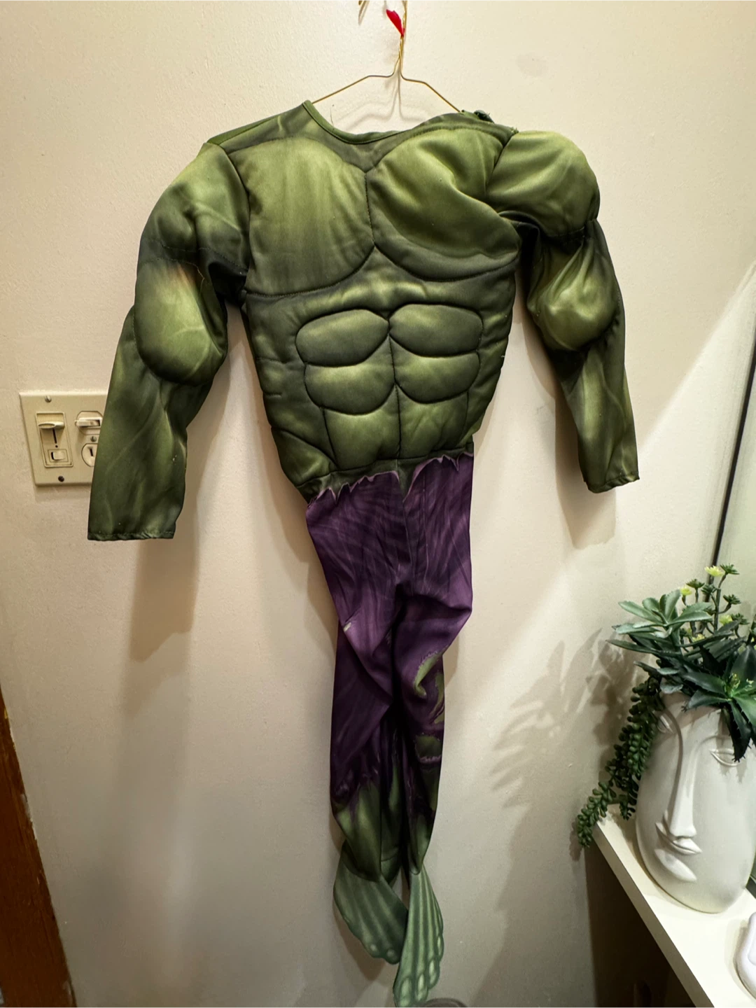 Hulk Costume