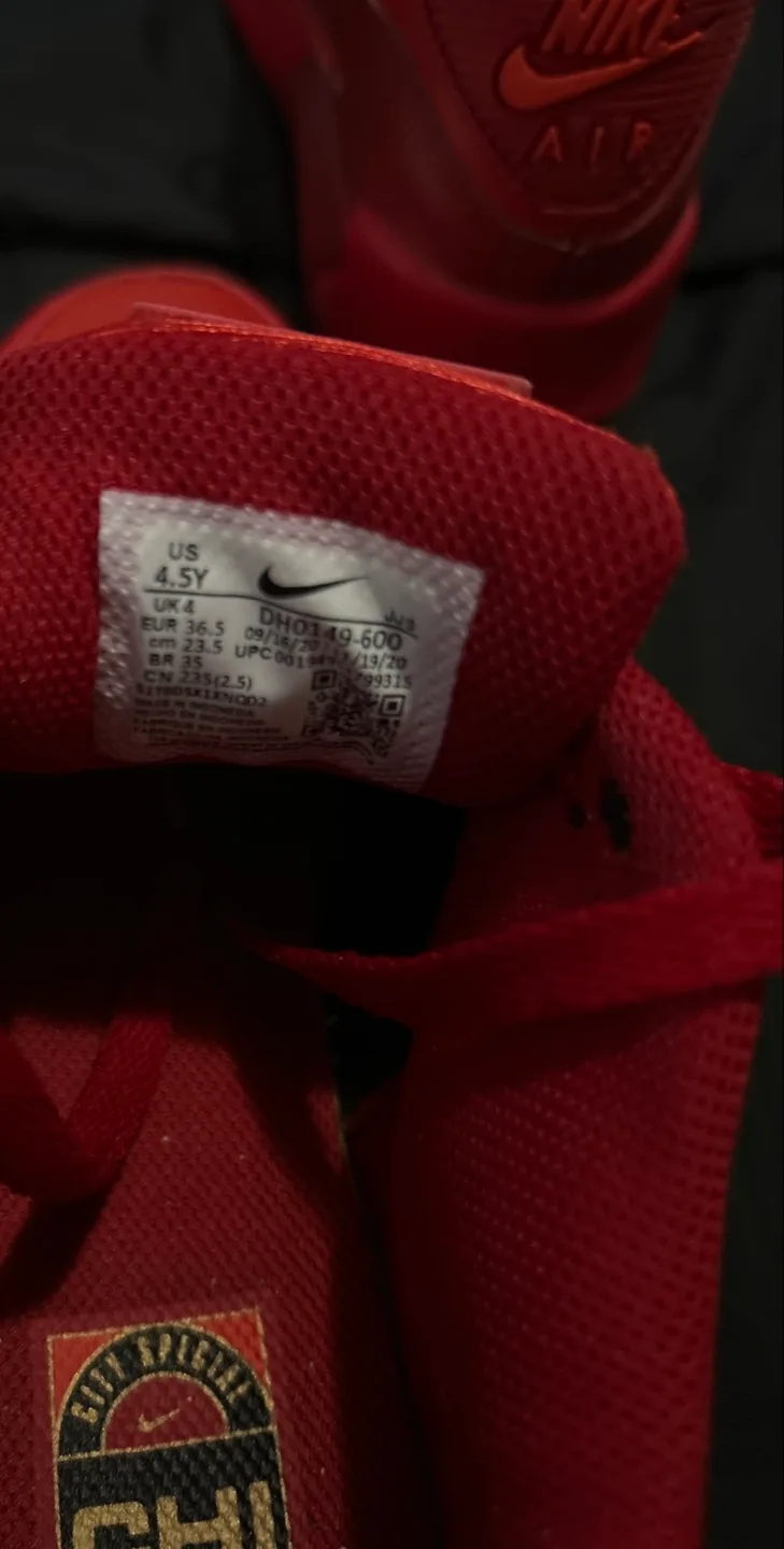 Nike Air Max 90 City Special Chicago 4.5Y image indicator(5)