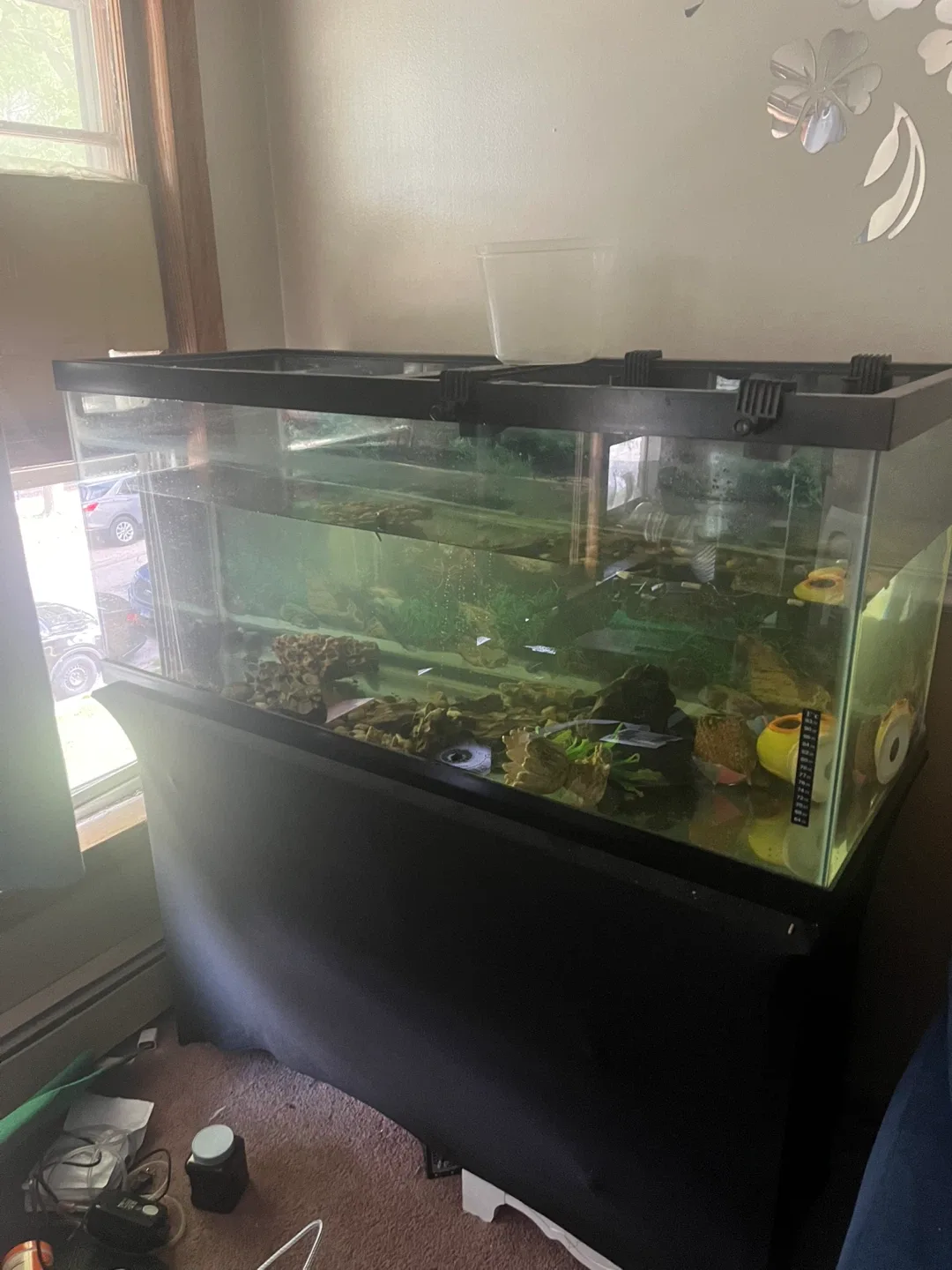 Fish/Turtle Tank with Accessories 50 gallons thumbnail