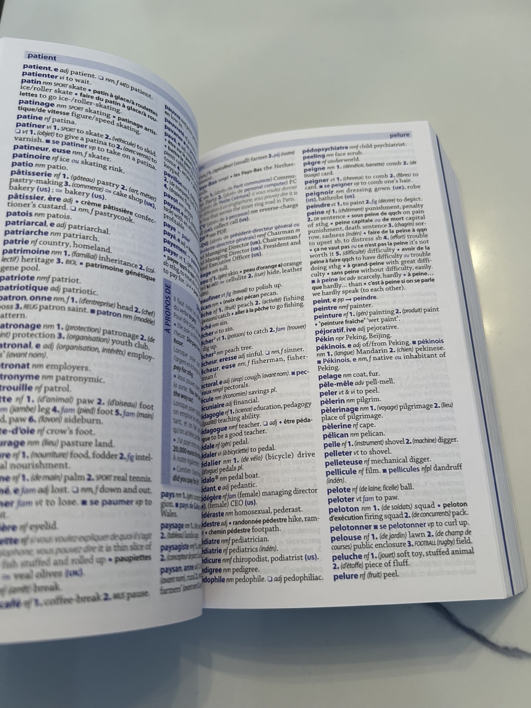 Larousse Dictionnaire Anglais (Dictionary) - photo 5