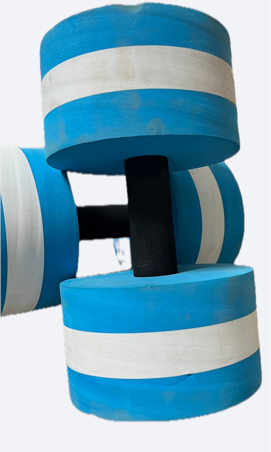 Leader Aqua Dumbbells - Blue & White