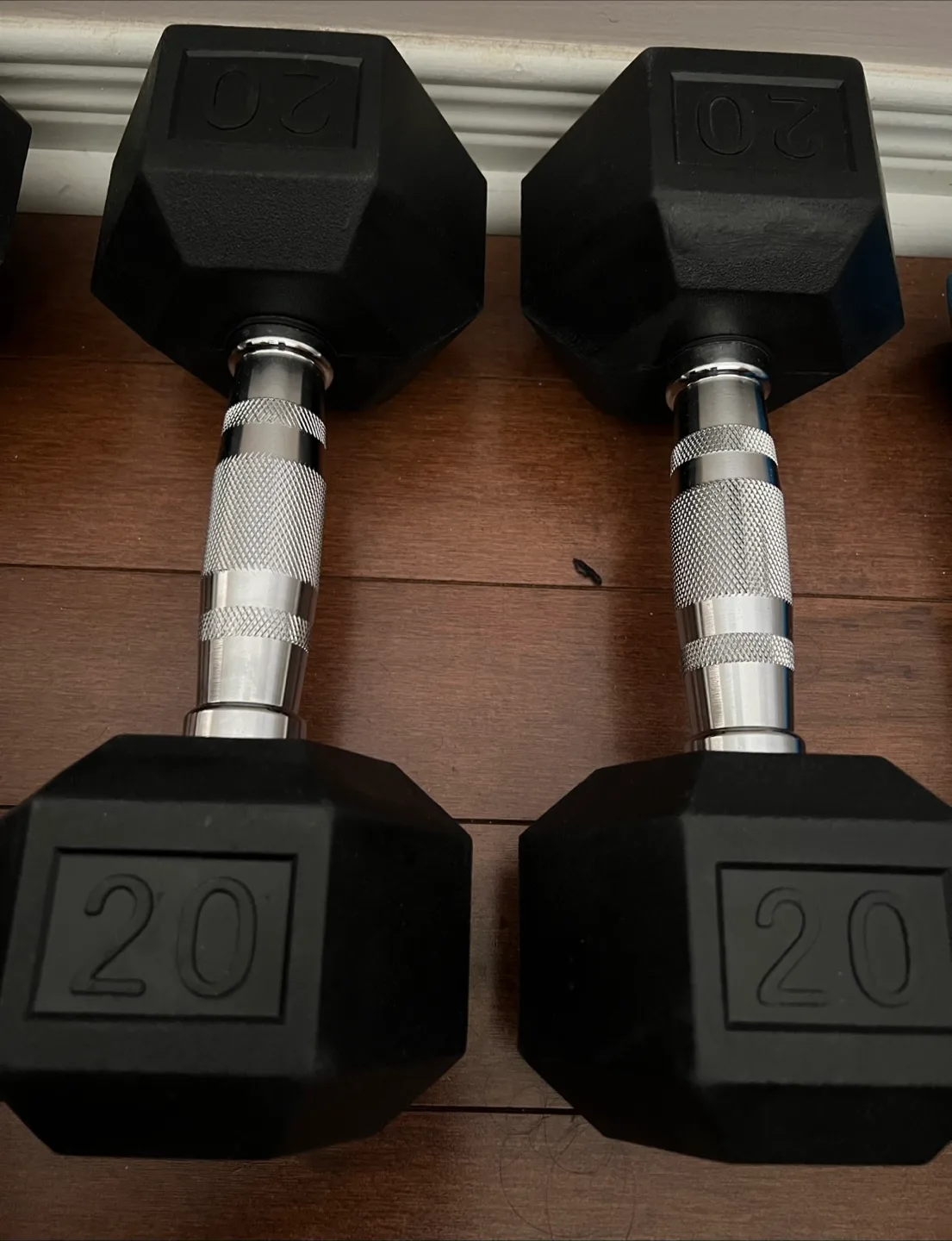 20 lb Dumbbells - Pair