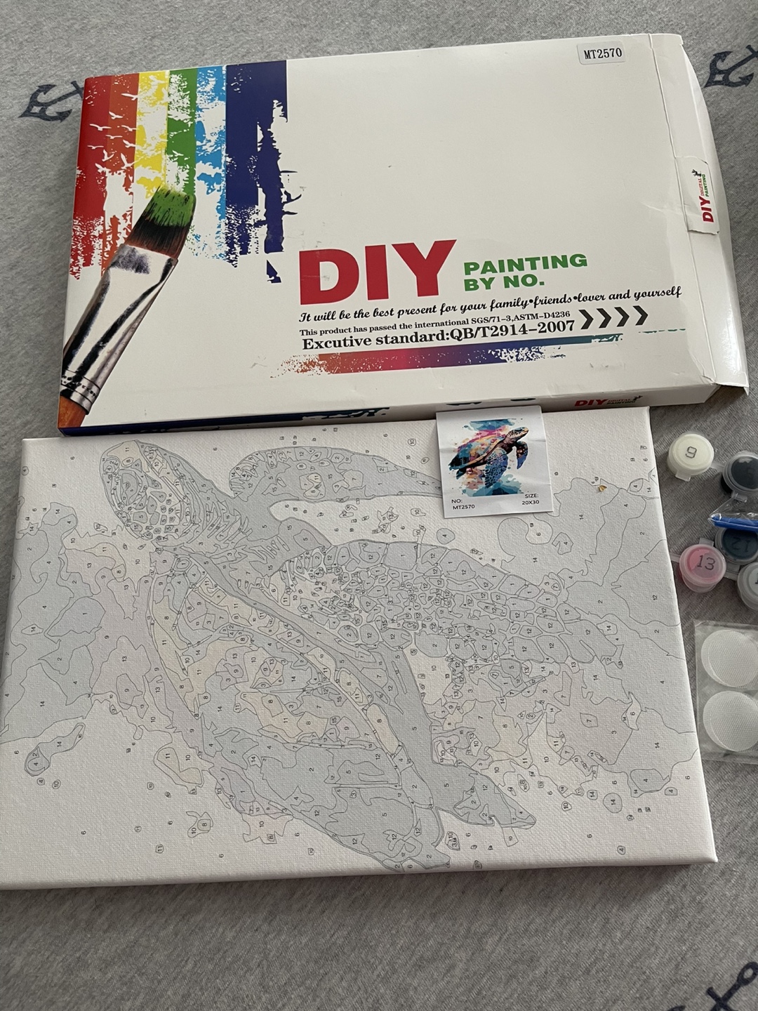 DIY Painting by Numbers Kit - Turtle Design