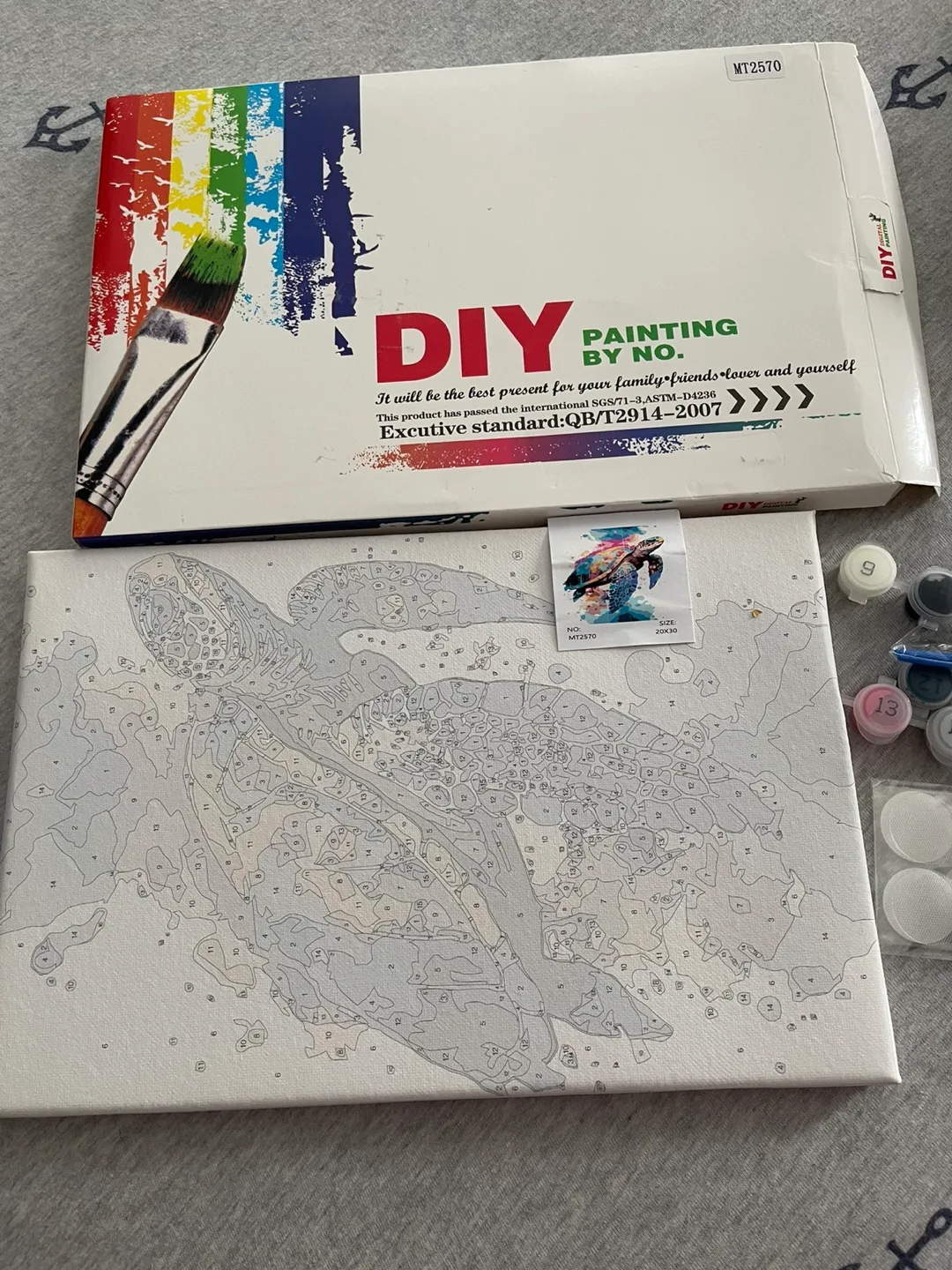 DIY Painting by Numbers Kit - Turtle Design thumbnail