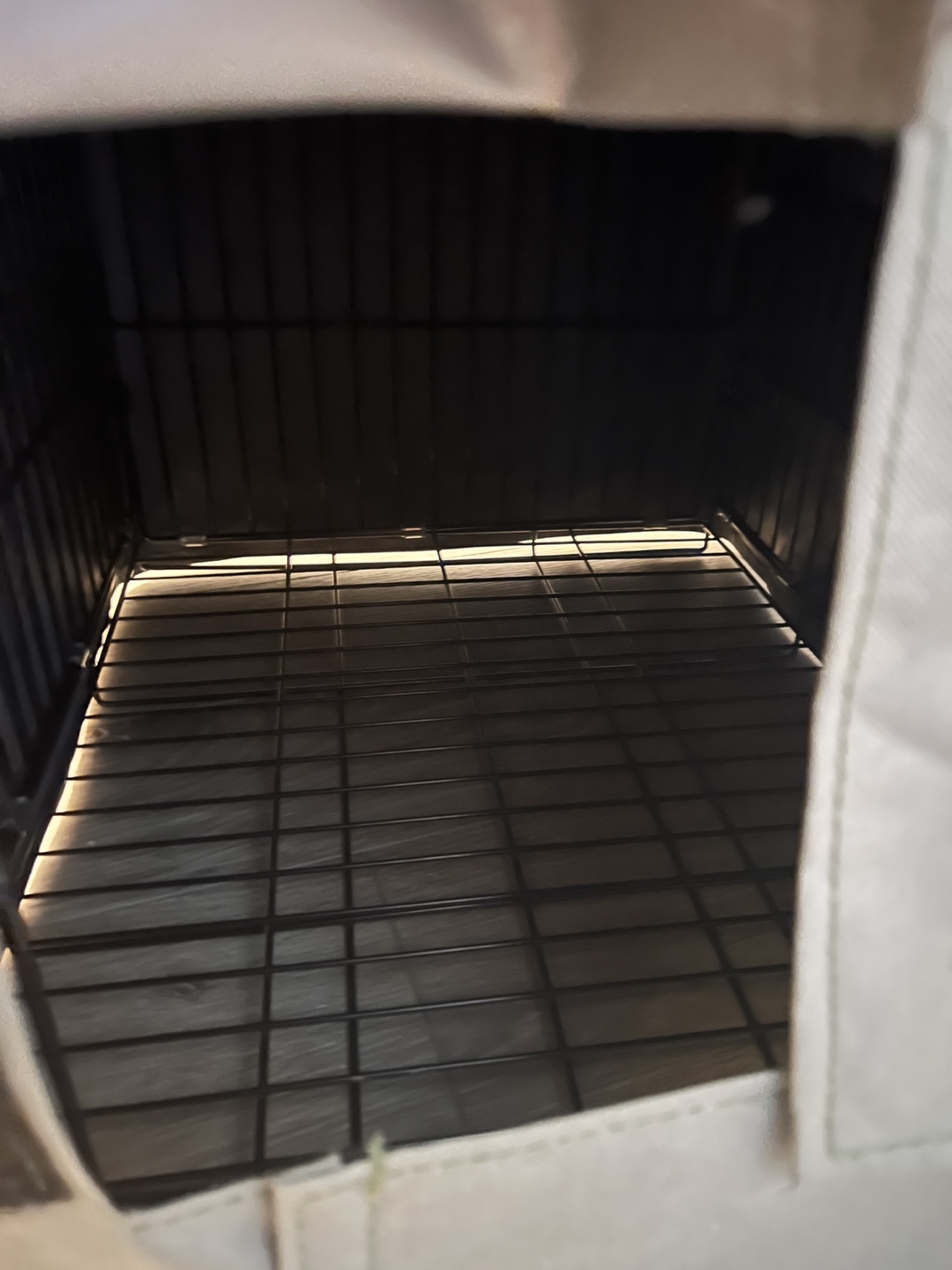 Cat House - photo 2