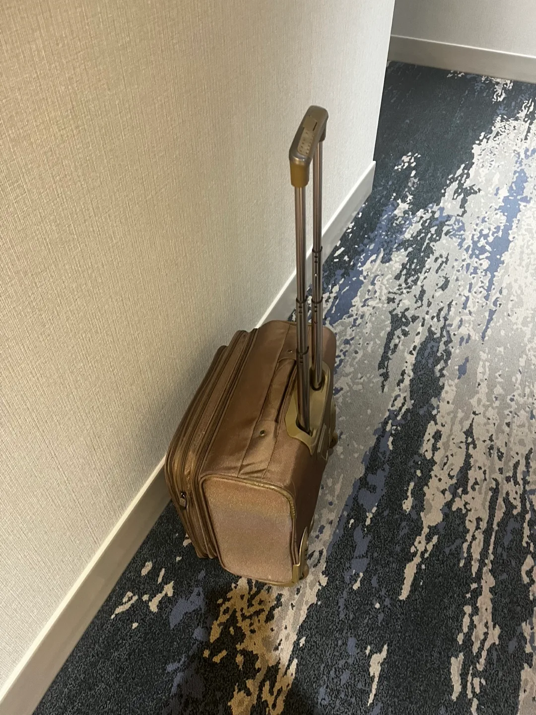 Pigeon Goes Along Way Rolling Suitcase image indicator(8)