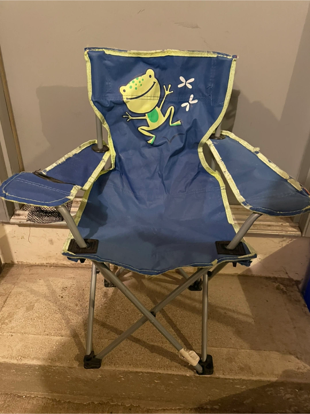 Kids Camping Chair - Frog Design