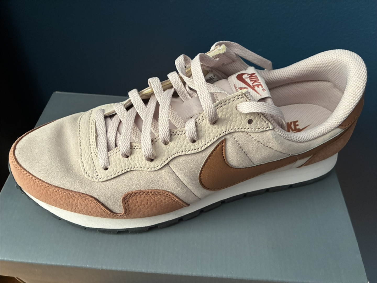 Nike Air Vintage Shoes