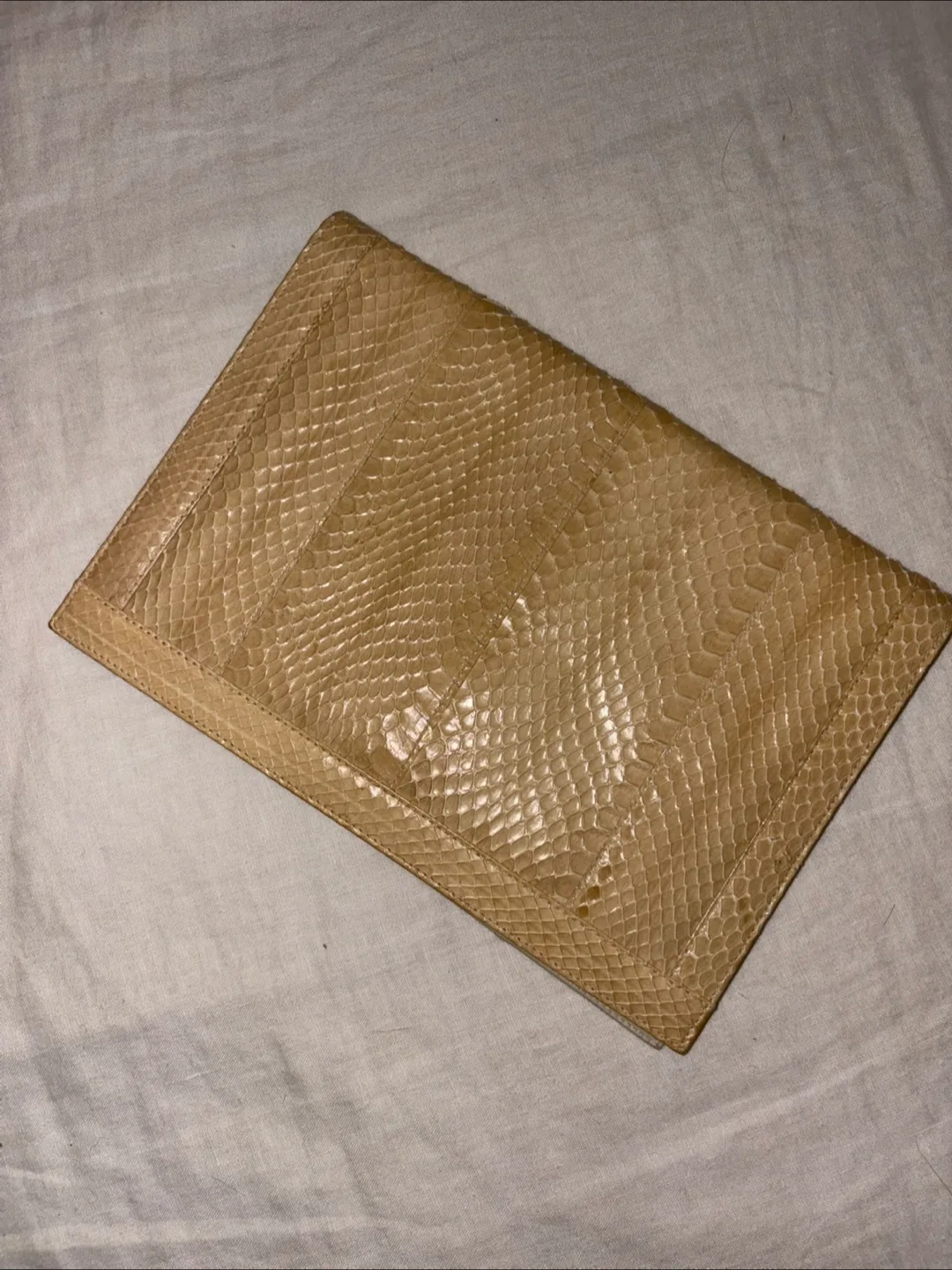 Vintage Snakeskin Clutch 🐍 image indicator(2)