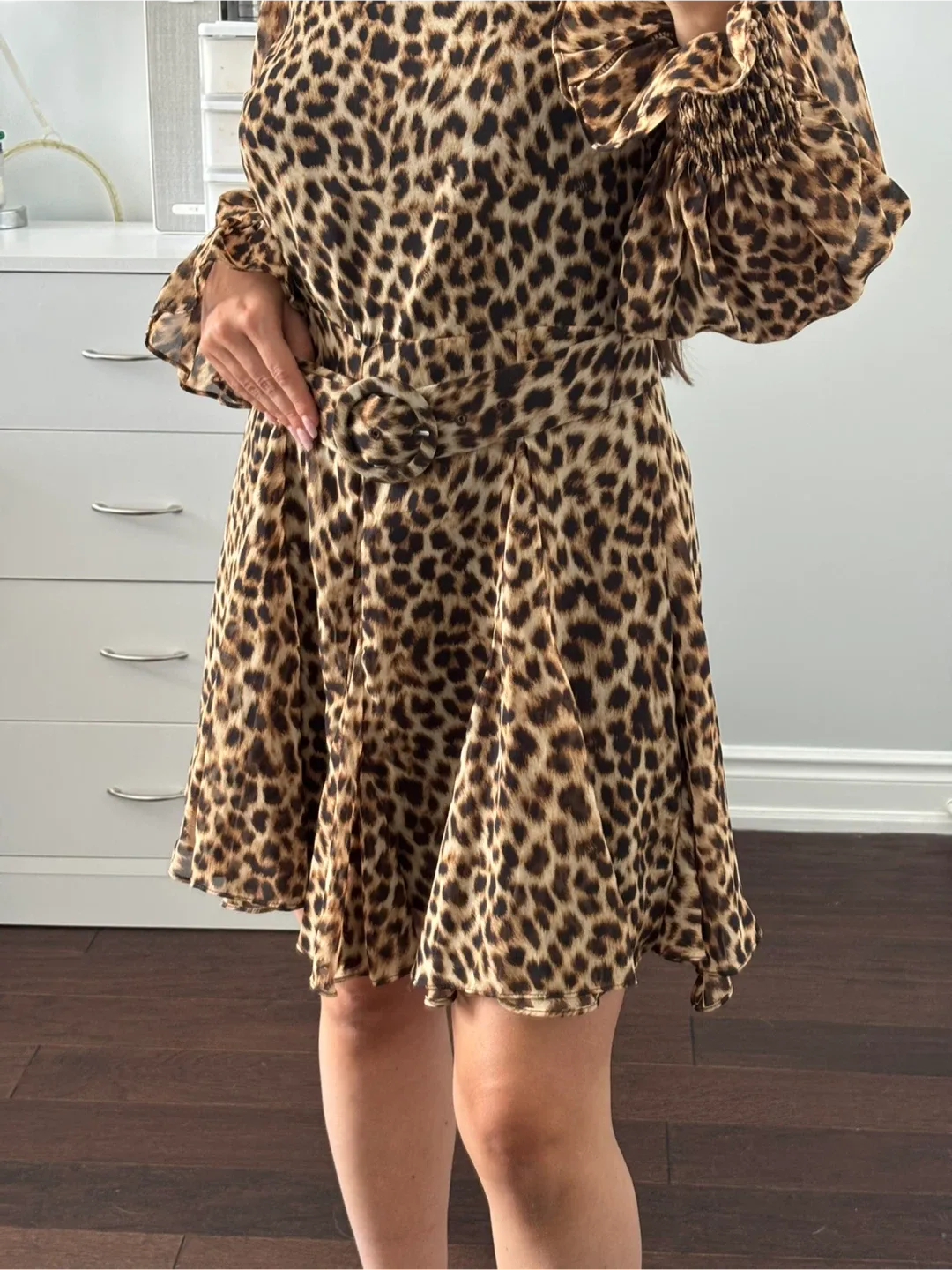 Zara l Leopard Print Dress - S image indicator(2)