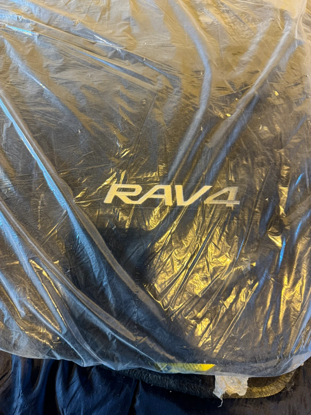 RAV4 Floor Mats - Brand New! - photo 2