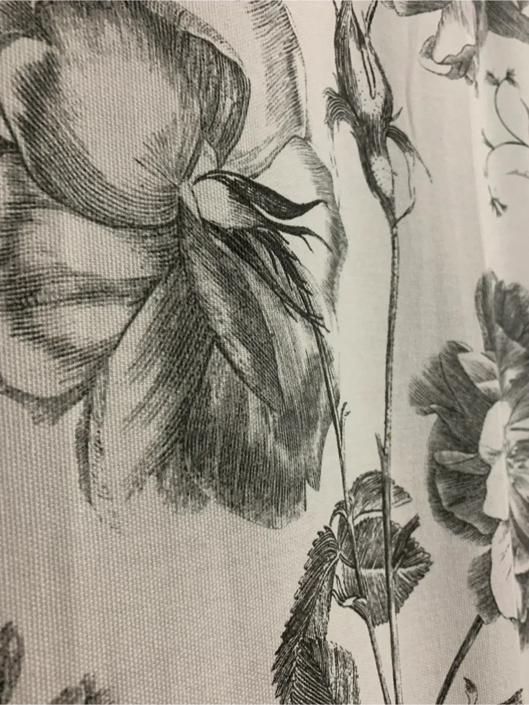 Ralph Lauren Floral Shower Curtain and hangers image indicator(3)