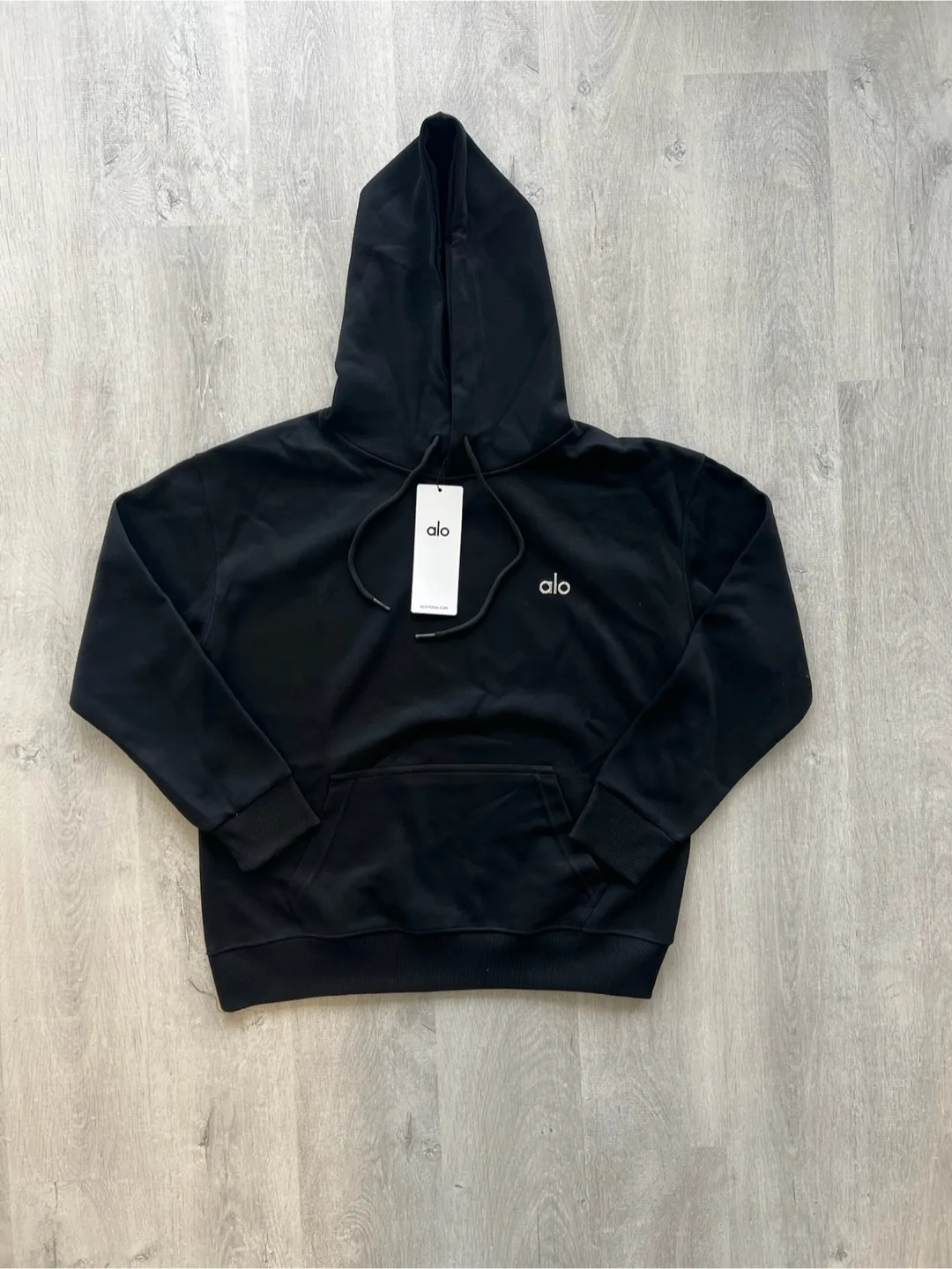 ALO Accolade Sweatpants and Hoodie Set-Black image indicator(2)