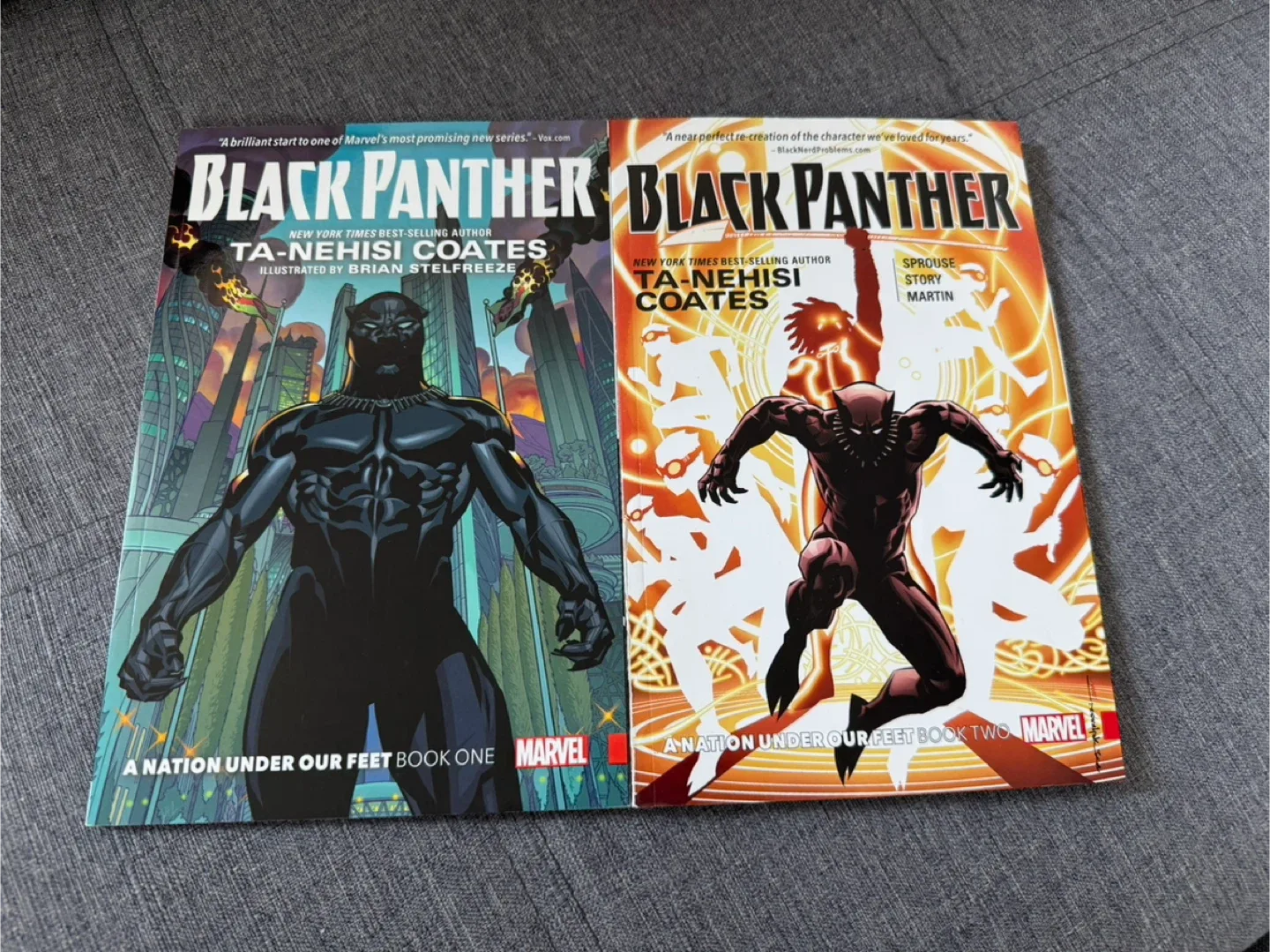 Black Panther a nation under our feet book one and two thumbnail